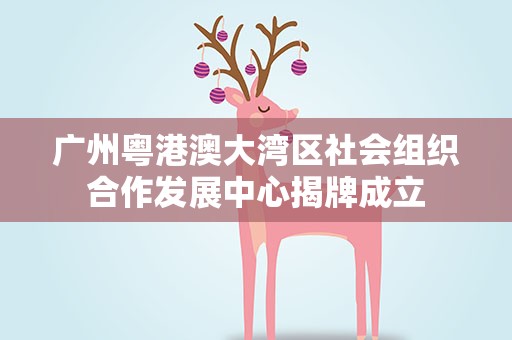 广州粤港澳大湾区社会组织合作发展中心揭牌成立