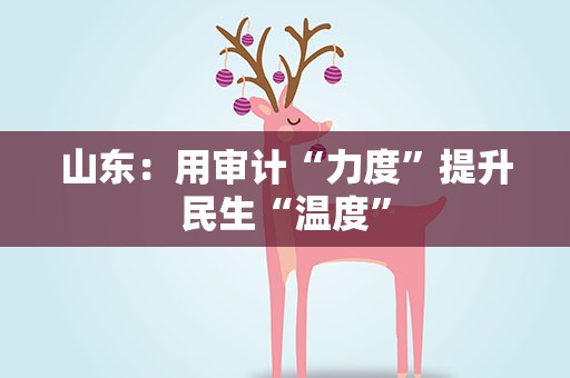 山东：用审计“力度”提升民生“温度”