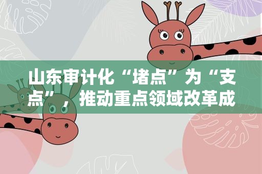 山东审计化“堵点”为“支点”，推动重点领域改革成效显