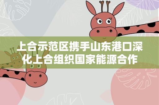 上合示范区携手山东港口深化上合组织国家能源合作