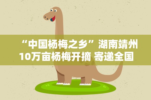 “中国杨梅之乡”湖南靖州10万亩杨梅开摘 寄递全国218个城市
