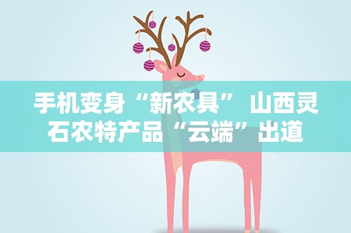 手机变身“新农具” 山西灵石农特产品“云端”出道