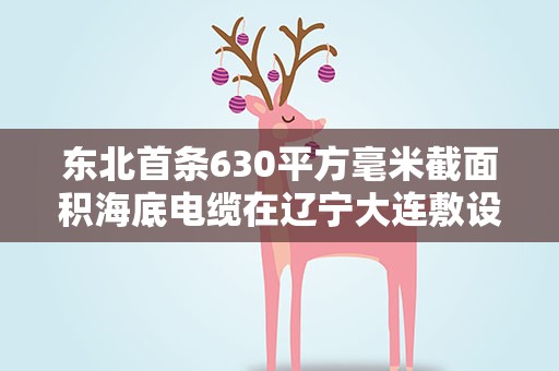 东北首条630平方毫米截面积海底电缆在辽宁大连敷设完成