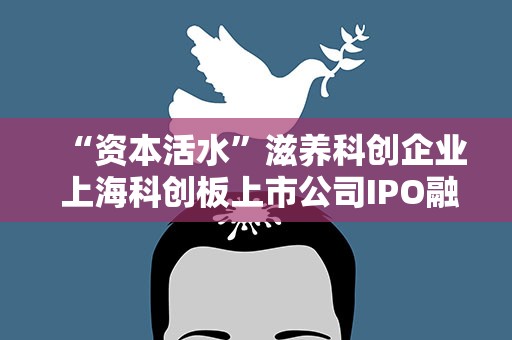 “资本活水”滋养科创企业 上海科创板上市公司IPO融资额超2000亿元