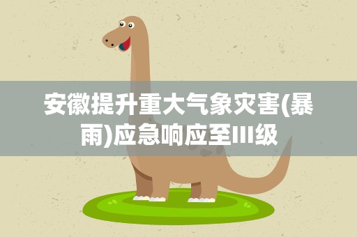 安徽提升重大气象灾害(暴雨)应急响应至III级
