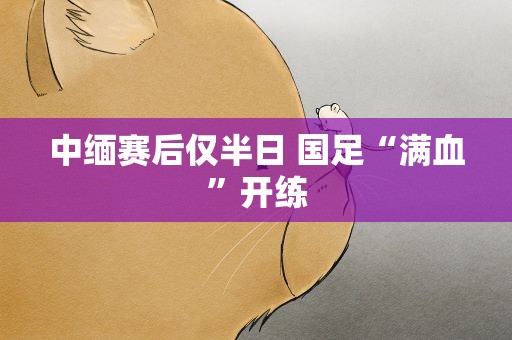 中缅赛后仅半日 国足“满血”开练