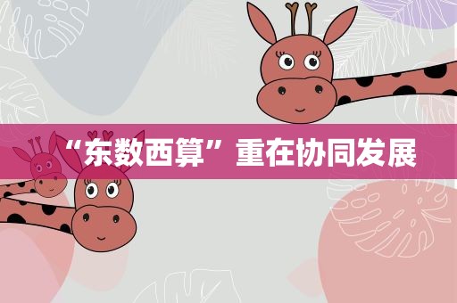 “东数西算”重在协同发展