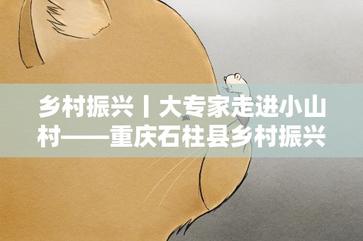 乡村振兴丨大专家走进小山村——重庆石柱县乡村振兴见闻