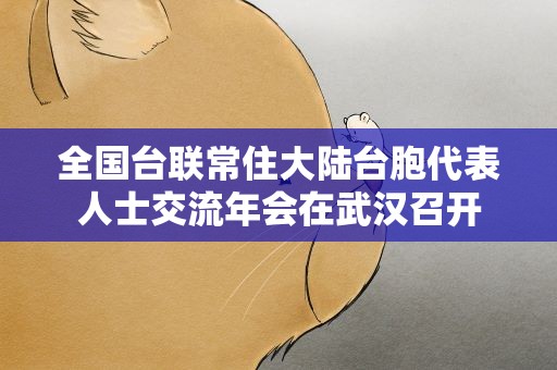 全国台联常住大陆台胞代表人士交流年会在武汉召开