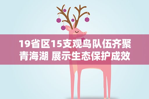 19省区15支观鸟队伍齐聚青海湖 展示生态保护成效