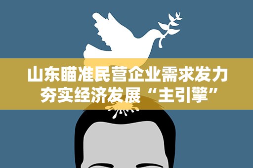 山东瞄准民营企业需求发力 夯实经济发展“主引擎”