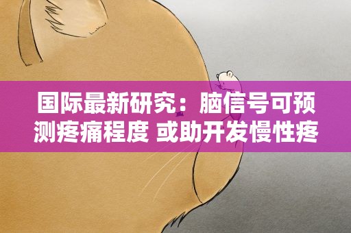 国际最新研究：脑信号可预测疼痛程度 或助开发慢性疼痛疗法