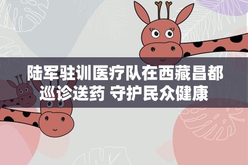 陆军驻训医疗队在西藏昌都巡诊送药 守护民众健康