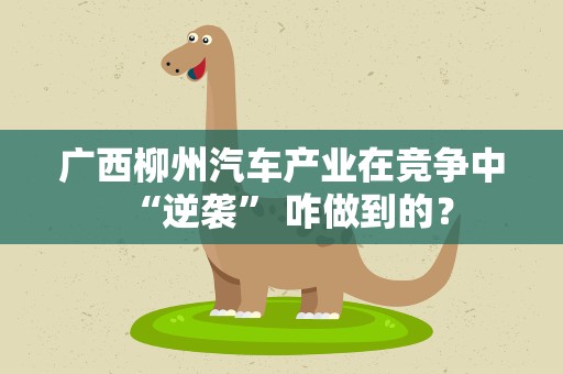 广西柳州汽车产业在竞争中“逆袭” 咋做到的？