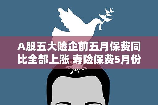 A股五大险企前五月保费同比全部上涨 寿险保费5月份放量增长