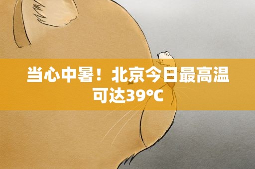 当心中暑！北京今日最高温可达39℃