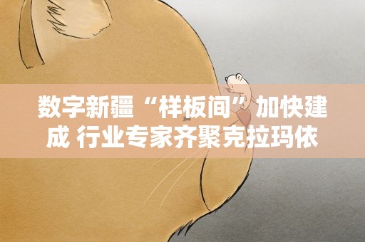 数字新疆“样板间”加快建成 行业专家齐聚克拉玛依围“数”建言
