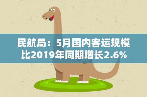 民航局：5月国内客运规模比2019年同期增长2.6%