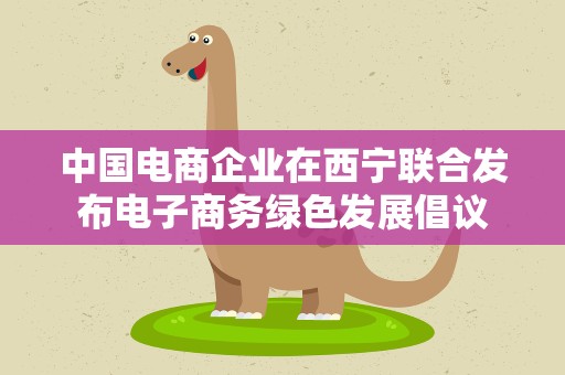 中国电商企业在西宁联合发布电子商务绿色发展倡议