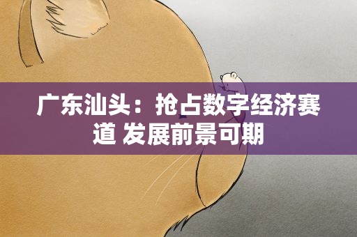 广东汕头：抢占数字经济赛道 发展前景可期
