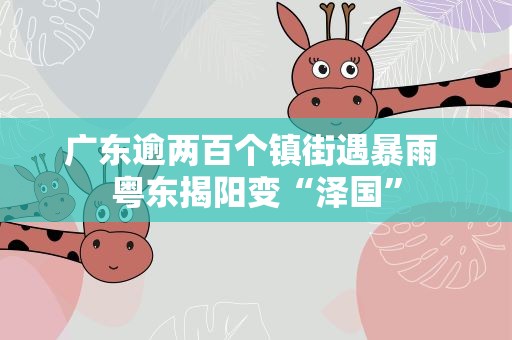 广东逾两百个镇街遇暴雨 粤东揭阳变“泽国”