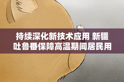 持续深化新技术应用 新疆吐鲁番保障高温期间居民用电安全