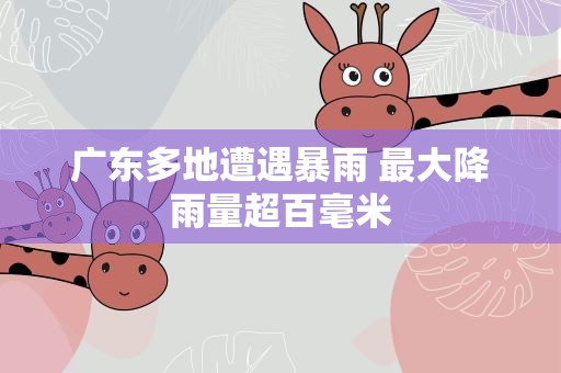 广东多地遭遇暴雨 最大降雨量超百毫米