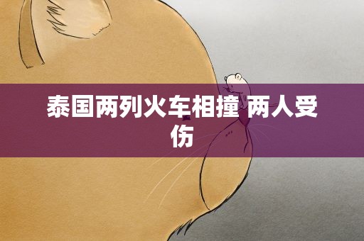 泰国两列火车相撞 两人受伤
