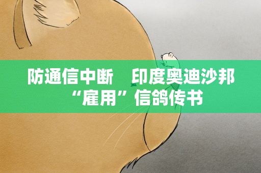 防通信中断　印度奥迪沙邦“雇用”信鸽传书