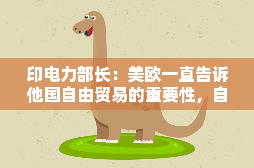 印电力部长：美欧一直告诉他国自由贸易的重要性，自己却……