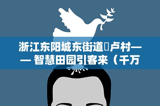 浙江东阳城东街道寀卢村—— 智慧田园引客来（千万工程 一线探访）