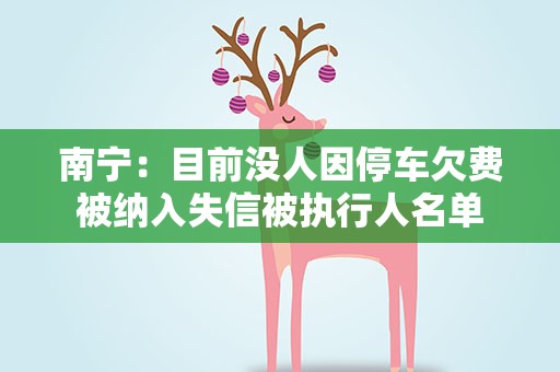 南宁：目前没人因停车欠费被纳入失信被执行人名单