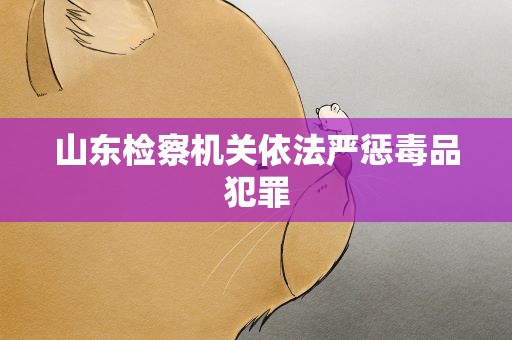 山东检察机关依法严惩毒品犯罪