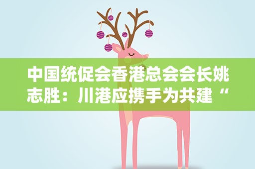 中国统促会香港总会会长姚志胜：川港应携手为共建“一带一路”献力