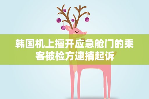 韩国机上擅开应急舱门的乘客被检方逮捕起诉