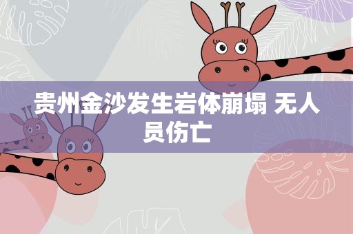 贵州金沙发生岩体崩塌 无人员伤亡