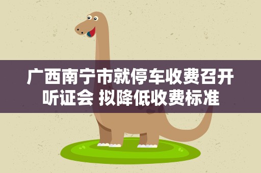 广西南宁市就停车收费召开听证会 拟降低收费标准