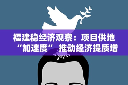 福建稳经济观察：项目供地“加速度” 推动经济提质增效