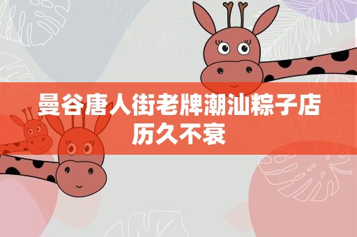 曼谷唐人街老牌潮汕粽子店历久不衰