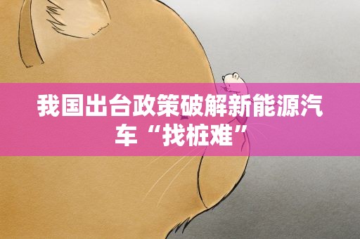 我国出台政策破解新能源汽车“找桩难”