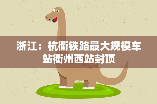 浙江：杭衢铁路最大规模车站衢州西站封顶