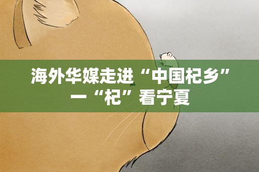 海外华媒走进“中国杞乡”一“杞”看宁夏