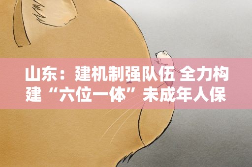 山东：建机制强队伍 全力构建“六位一体”未成年人保护体系