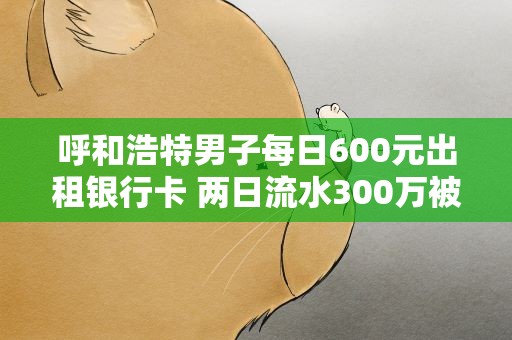 呼和浩特男子每日600元出租银行卡 两日流水300万被抓