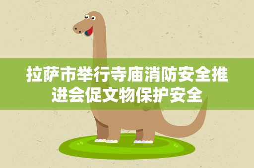 拉萨市举行寺庙消防安全推进会促文物保护安全