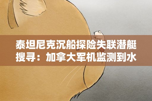 泰坦尼克沉船探险失联潜艇搜寻：加拿大军机监测到水下噪音