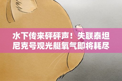 水下传来砰砰声！失联泰坦尼克号观光艇氧气即将耗尽
