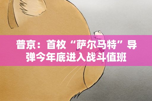 普京：首枚“萨尔马特”导弹今年底进入战斗值班