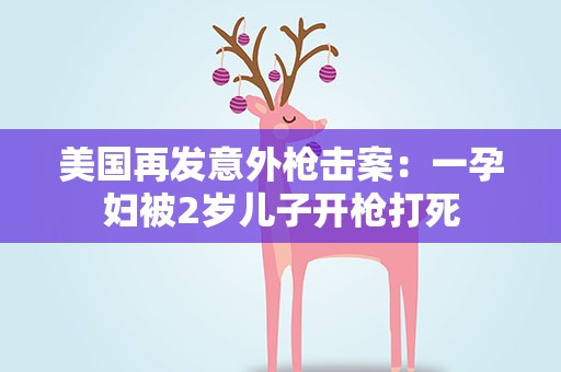 美国再发意外枪击案：一孕妇被2岁儿子开枪打死