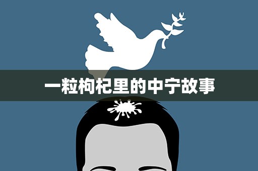 一粒枸杞里的中宁故事